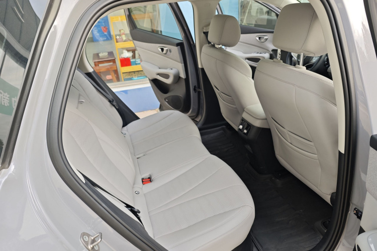 BYD Sea Lion 05 EV 2025 car image #12