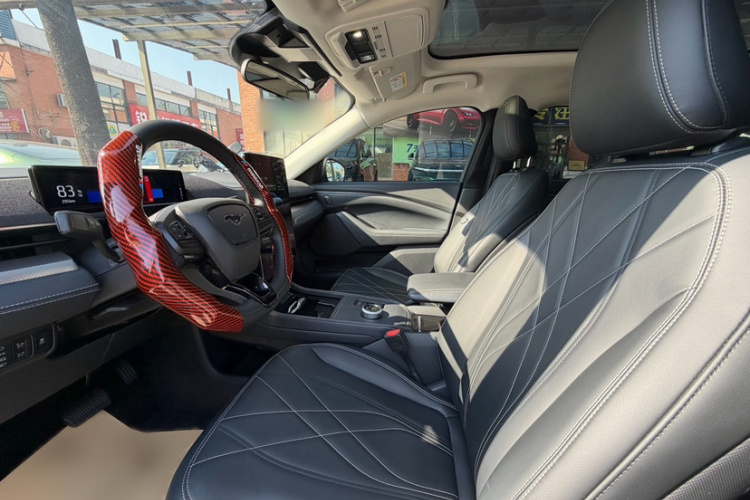 Ford Mustang Mach-E 2023 car image #12