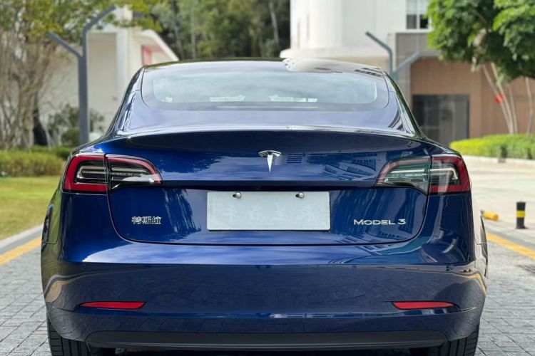 Tesla Model 3 2020 image de voiture #12