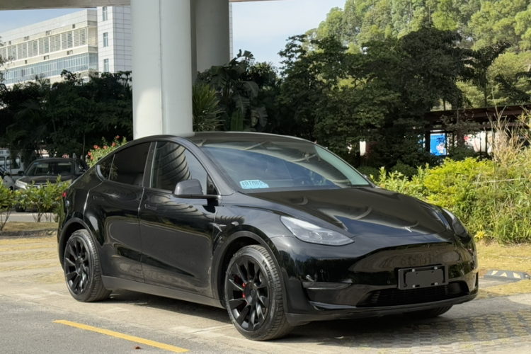 Tesla Model Y 2021 #12 Tesla Model Y 2021 car image #12
