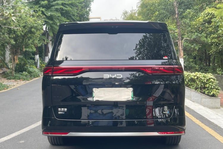 BYD Xia 2024 immagine di auto #12