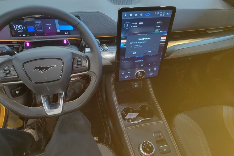 Ford Mustang Mach-E 2023 car image #12