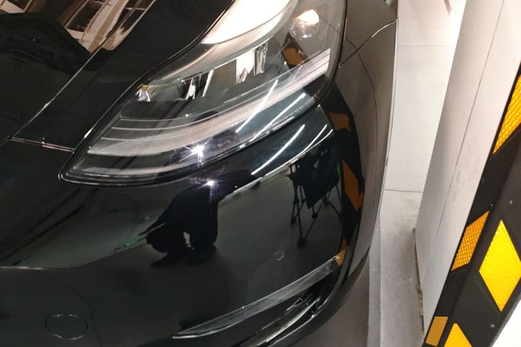 Tesla Model Y 2021 #12 Tesla Model Y 2021 car image #12
