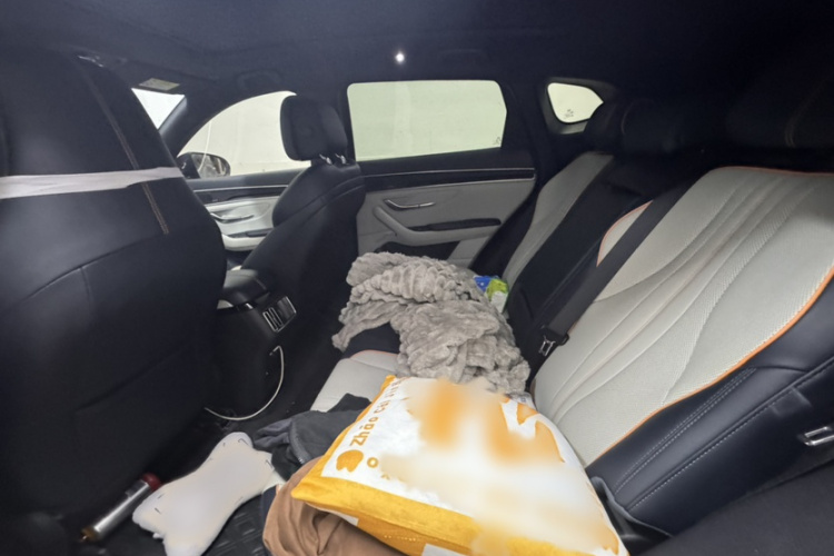 BYD Song Plus New Energy 2023 #12 BYD Song Plus New Energy 2023 car image #12