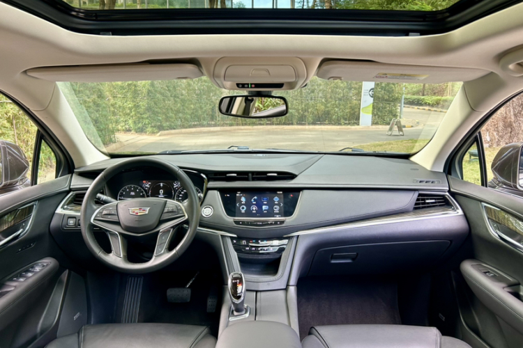 2019 #12 2019 car image #12