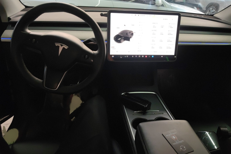 Tesla Model Y 2023 car image #12