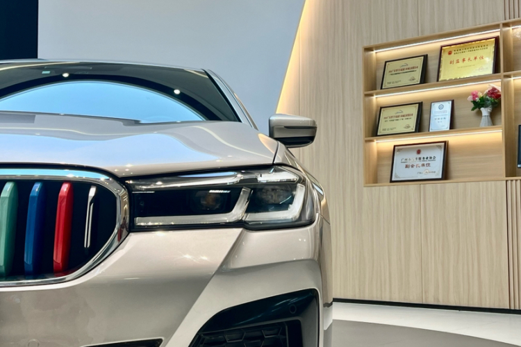 BMW 5 Series New Energy 2021 car image #12