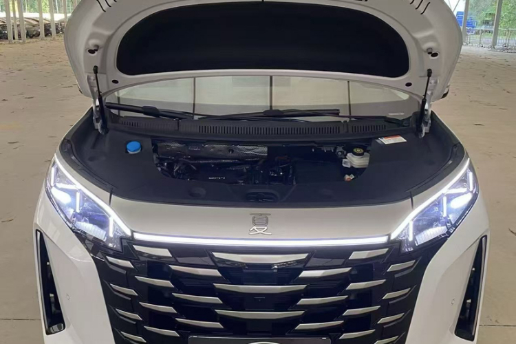 BYD Xia 2024 صورة سيارة #12