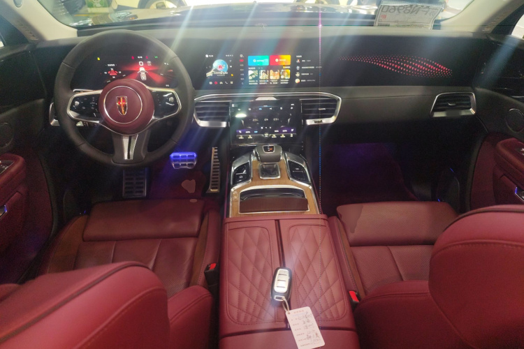 HongQi E-HS9 2021 immagine di auto #12