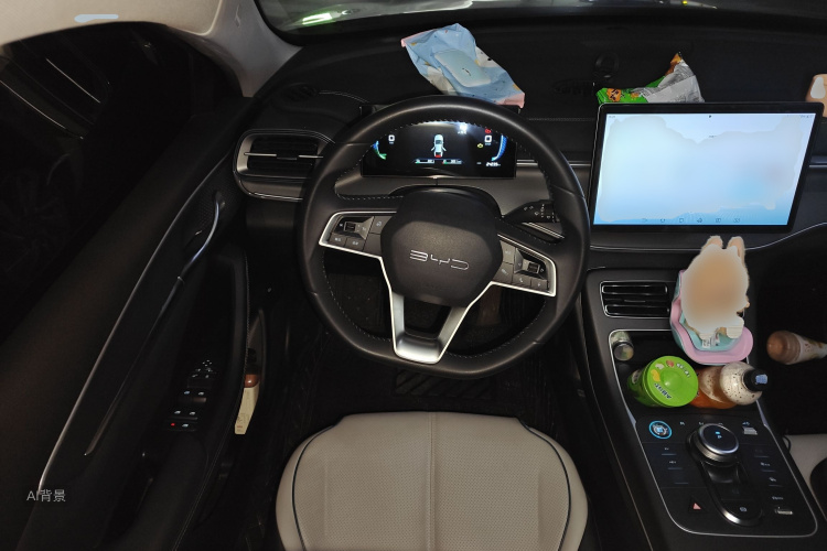 比亚迪 驱逐舰05 2024 汽车图片 #12