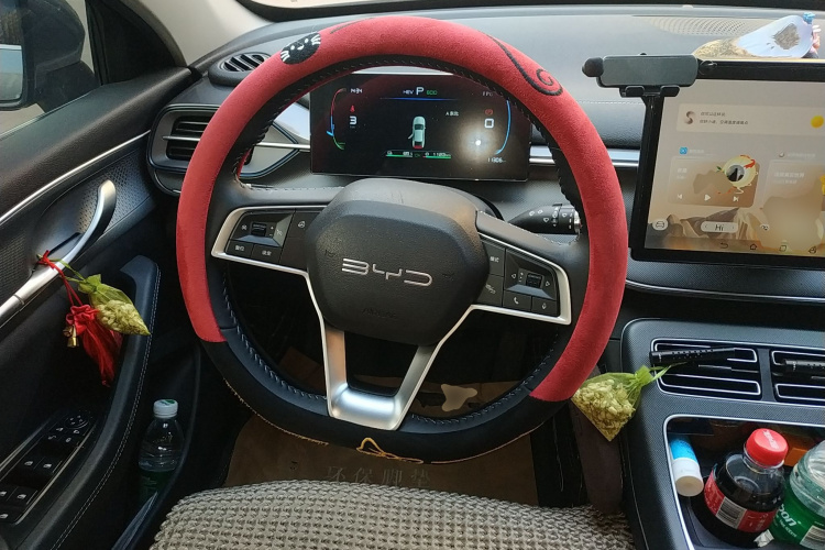 BYD Destroyer 05 2024 car image #12