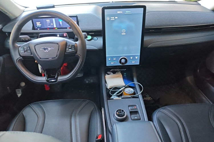 Ford Mustang Mach-E 2022 #12 Ford Mustang Mach-E 2022 car image #12