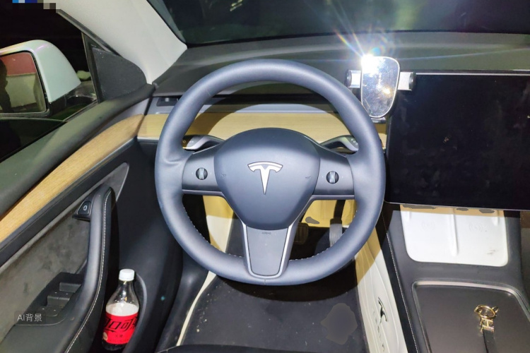 Tesla Model Y 2023 car image #12