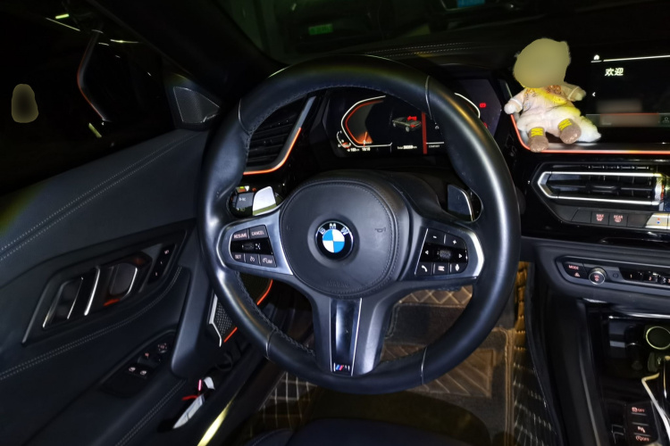 BMW Z4 2021 #12 BMW Z4 2021 car image #12