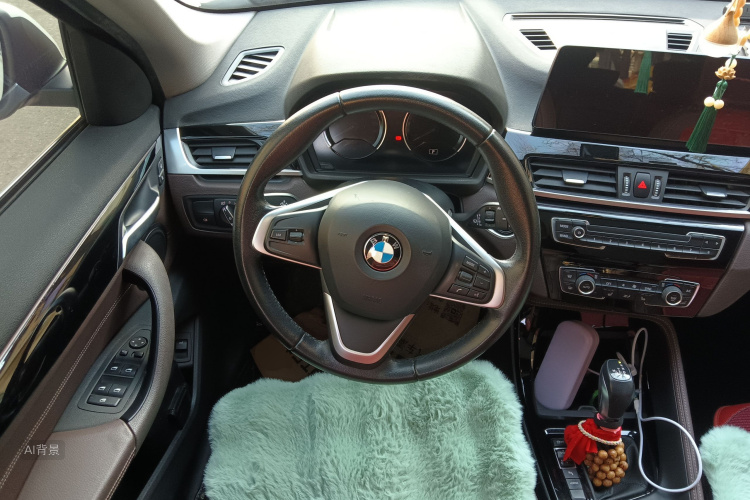 BMW X1 New Energy 2020 image de voiture #12