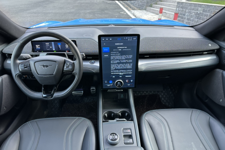 Ford Mustang Mach-E 2022 car image #12