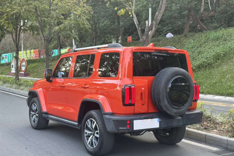 Tank 300 2022 car image #12