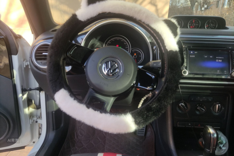 Volkswagen Beetle 2016 #12 Volkswagen Beetle 2016 car image #12