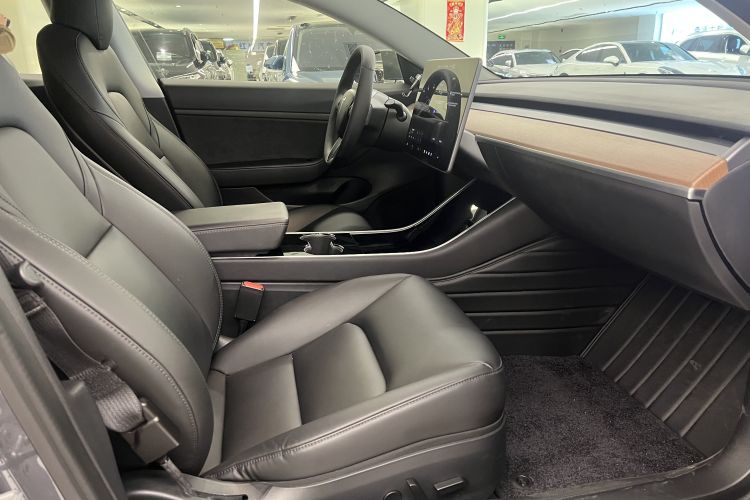 Tesla Model 3 2020 immagine di auto #12