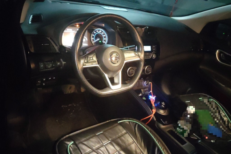 日产 轩逸·纯电 2019 汽车图片 #12