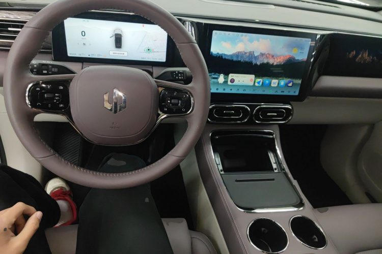 Leapmotor C11 2023 car image #12