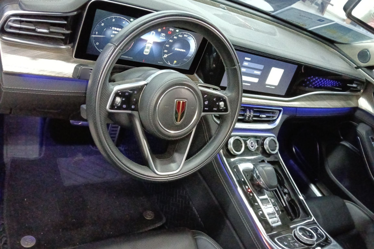 HongQi H9 2021 car image #12