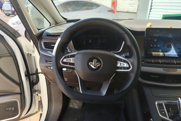 睿蓝汽车 枫叶80v 2022 汽车图片 #12