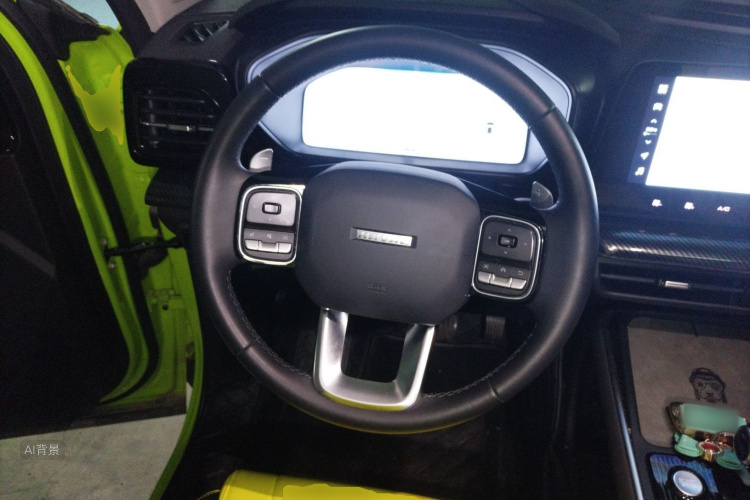 Haval Dargo 2022 car image #12