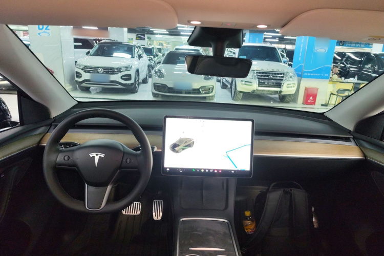 Tesla Model Y 2021 car image #12