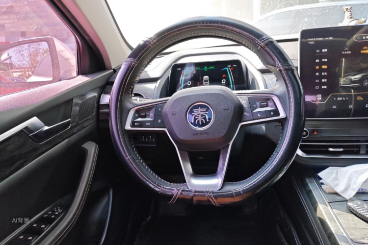 BYD Qin Pro New Energy 2019 #12 BYD Qin Pro New Energy 2019 car image #12