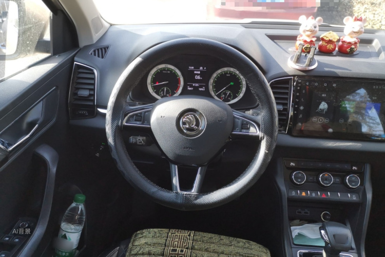 Skoda Karoq 2019 car image #12