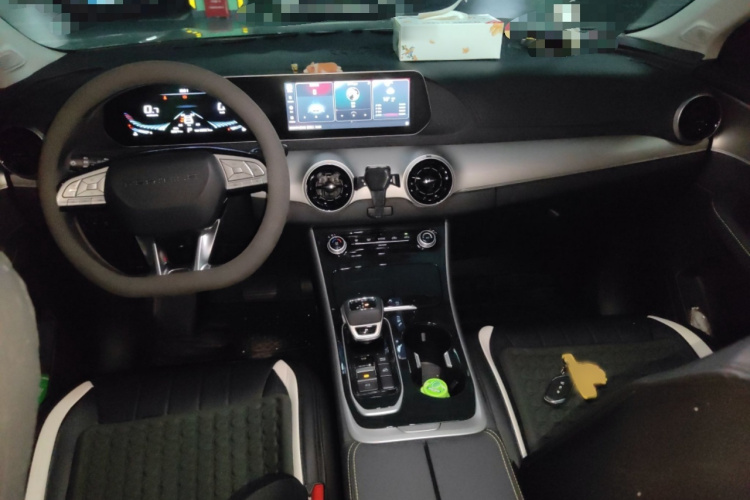 Forthing T5 EVO 2024 car image #12