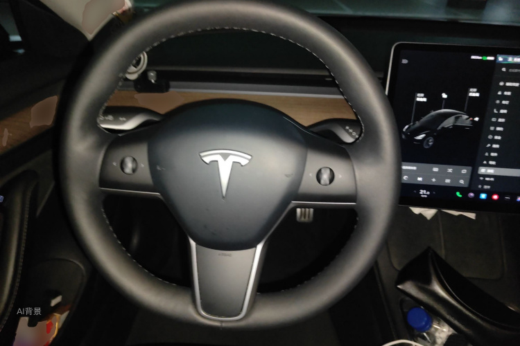 Tesla Model 3 2021 car image #12