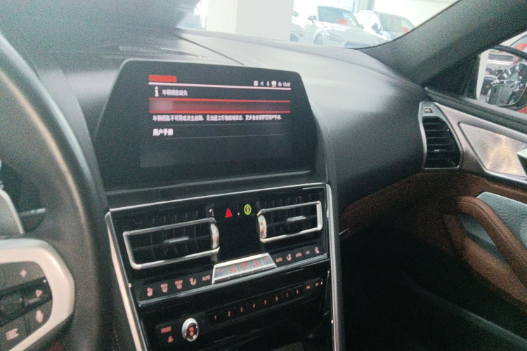 BMW 8 Series 2020 car image #12