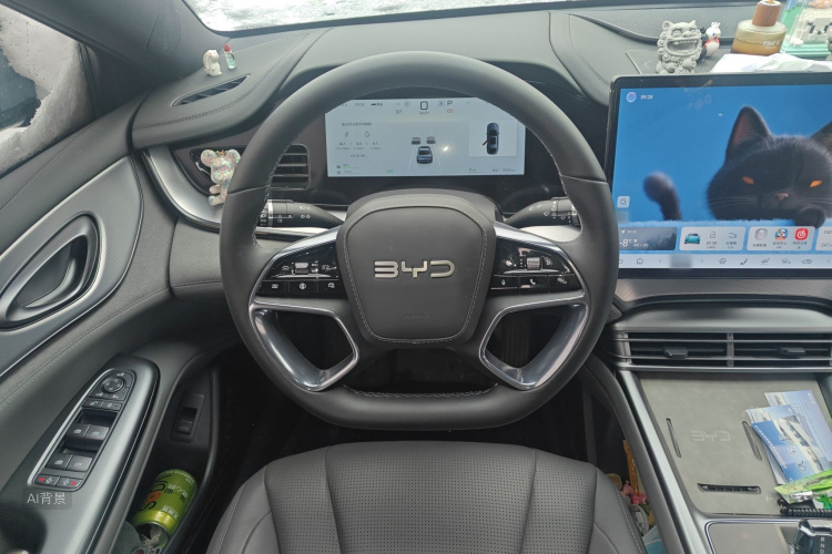 BYD Seal 07 DM-i 2025 car image #12