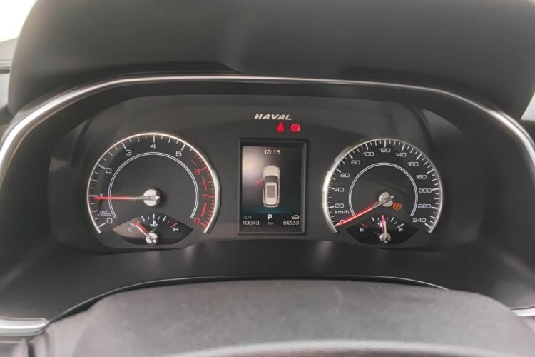 Haval H6 2019 car image #12