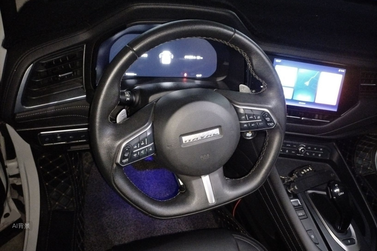 Haval F7 2020 car image #12