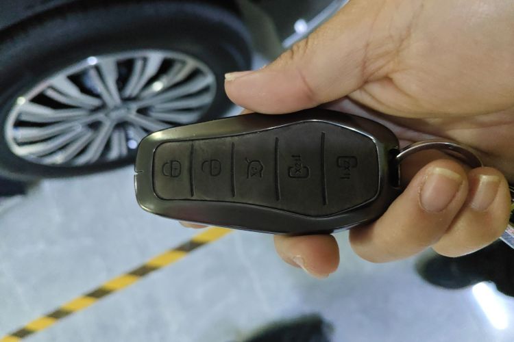 BYD Xia 2025 imagen de coche #12