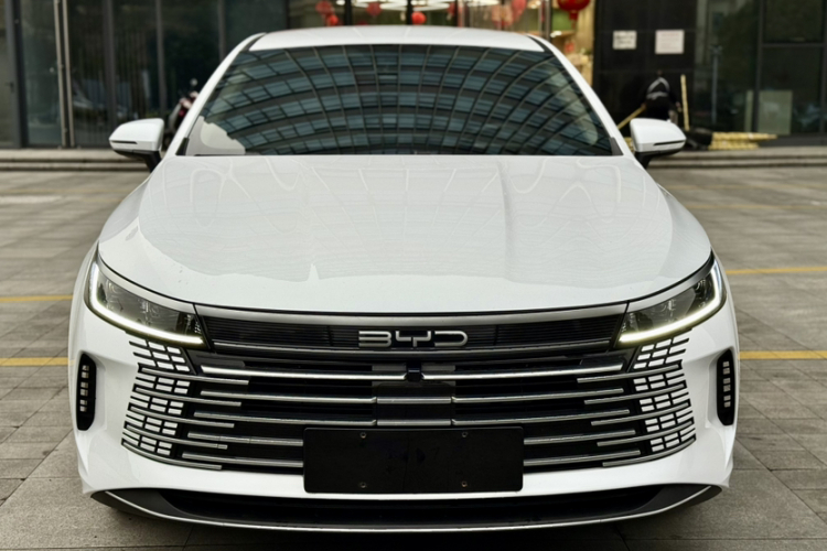 BYD Destroyer 05 2024 car image #12
