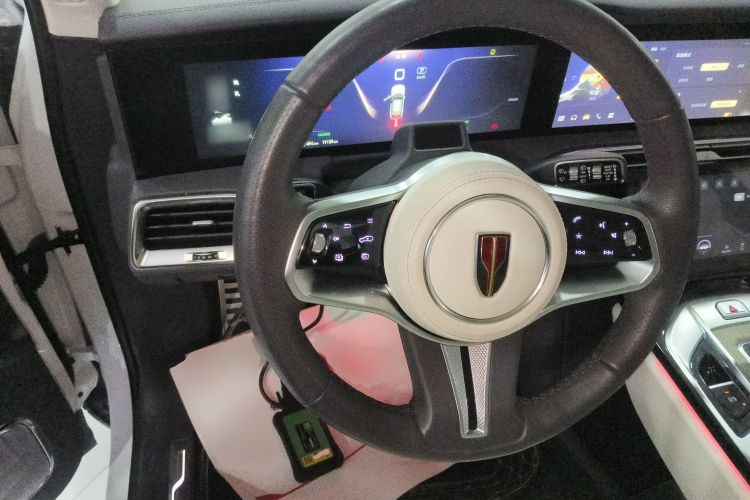 HongQi E-HS9 2023 car image #12