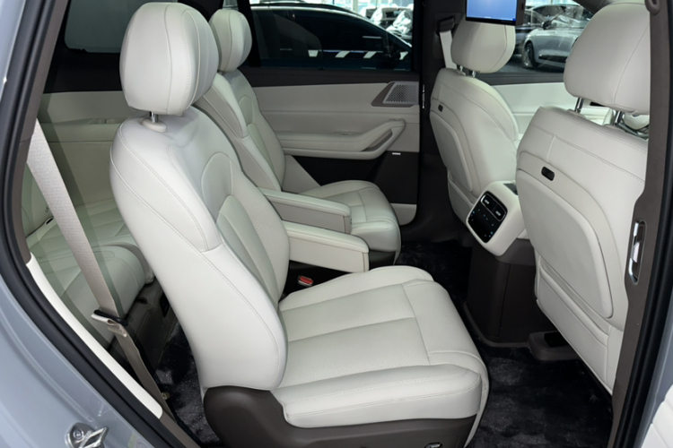 Denza 2025 car image #12