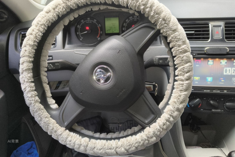 Skoda Rapid 2015 imagem de carro #12