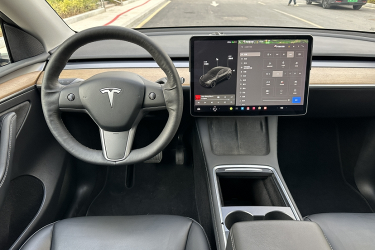 Tesla Model Y 2021 car image #12