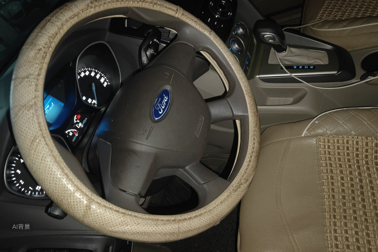 Ford Focus 2014 car image #12