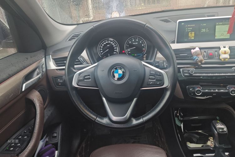 BMW X1 New Energy 2018 car image #12