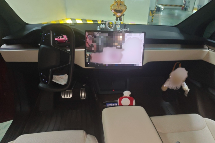 特斯拉 Model X 2023 汽车图片 #12