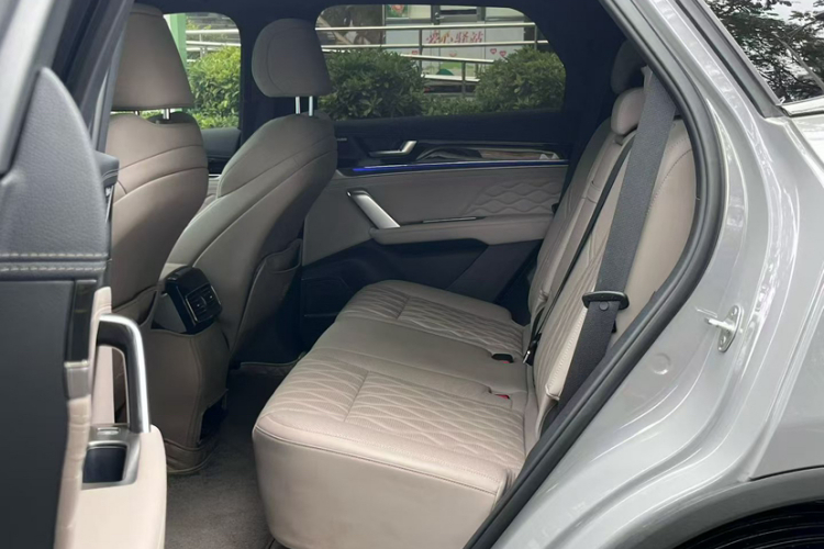 BYD Tang New Energy 2025 car image #12