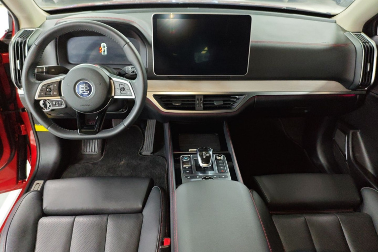 BYD Tang New Energy 2019 car image #12