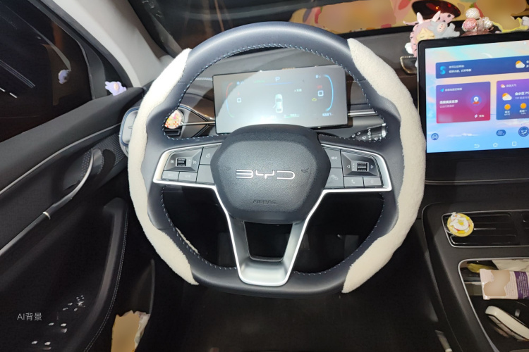 BYD Destroyer 05 2024 car image #12