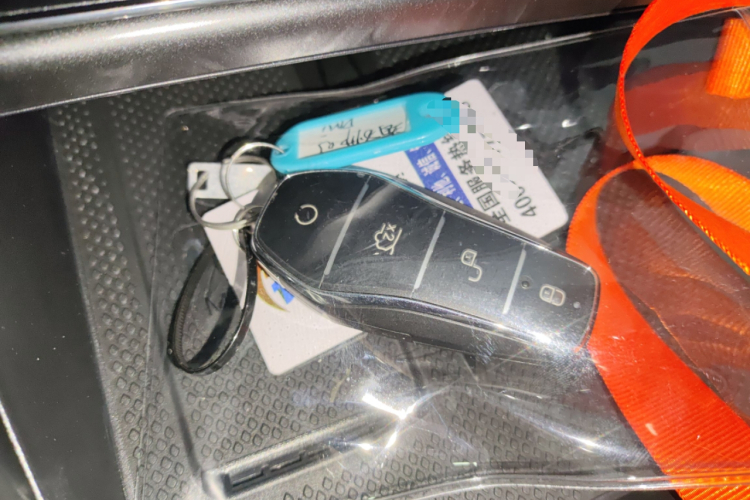 BYD Sea Lion 05 DM-i 2025 image de voiture #12